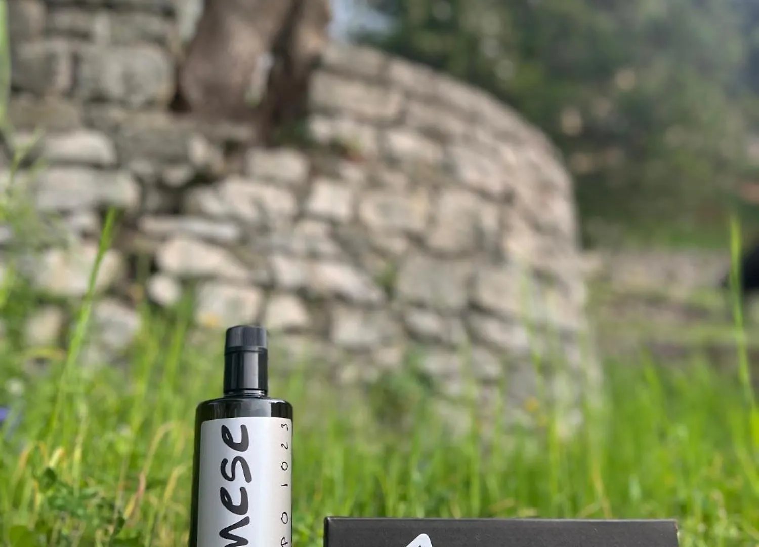 Casa Agnese Lake View 브렌조네 술 가르다 이탈리아