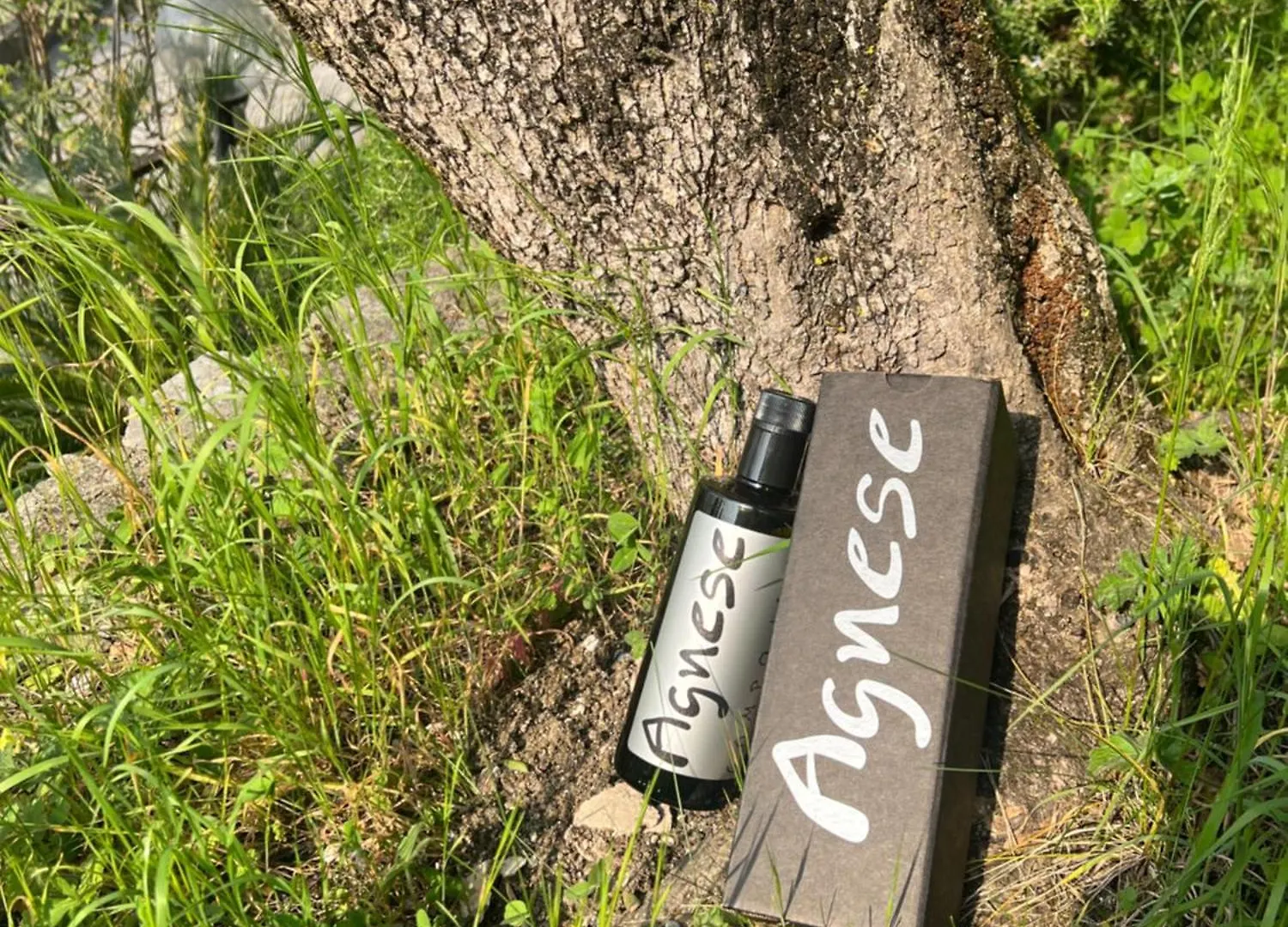 Casa Agnese Lake View 브렌조네 술 가르다 0*,